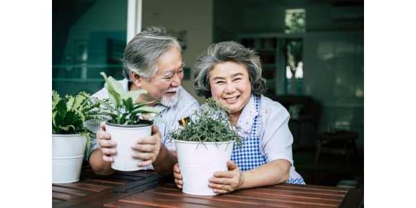 老年人生活方式